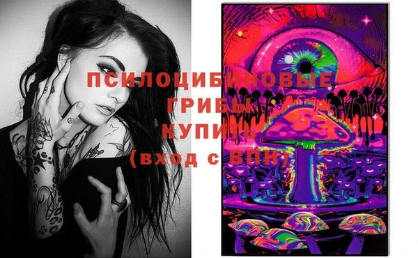 винт Алексин