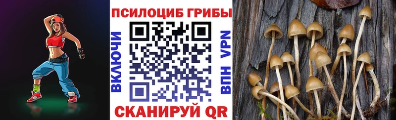 Псилоцибиновые грибы прущие грибы  Кудрово 