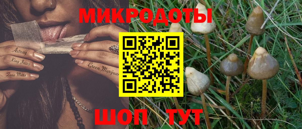 Галлюциногенные грибы Psilocybine cubensis  наркошоп  Кудрово  Псилоцибиновые грибы Cubensis  Вход с VPN 