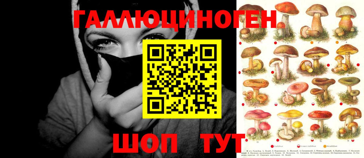 Галлюциногенные грибы GOLDEN TEACHER Кудрово